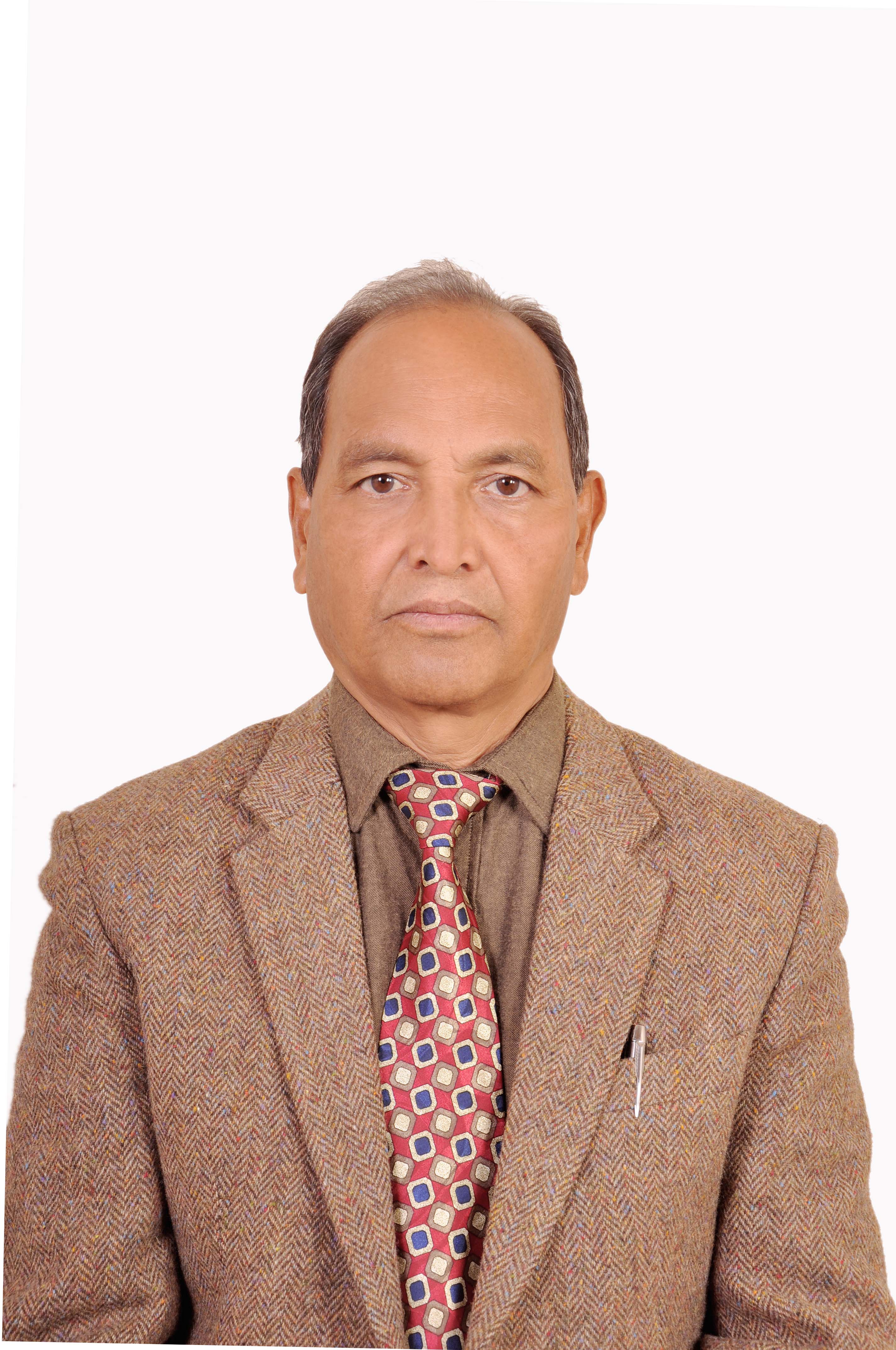 Executive Member
